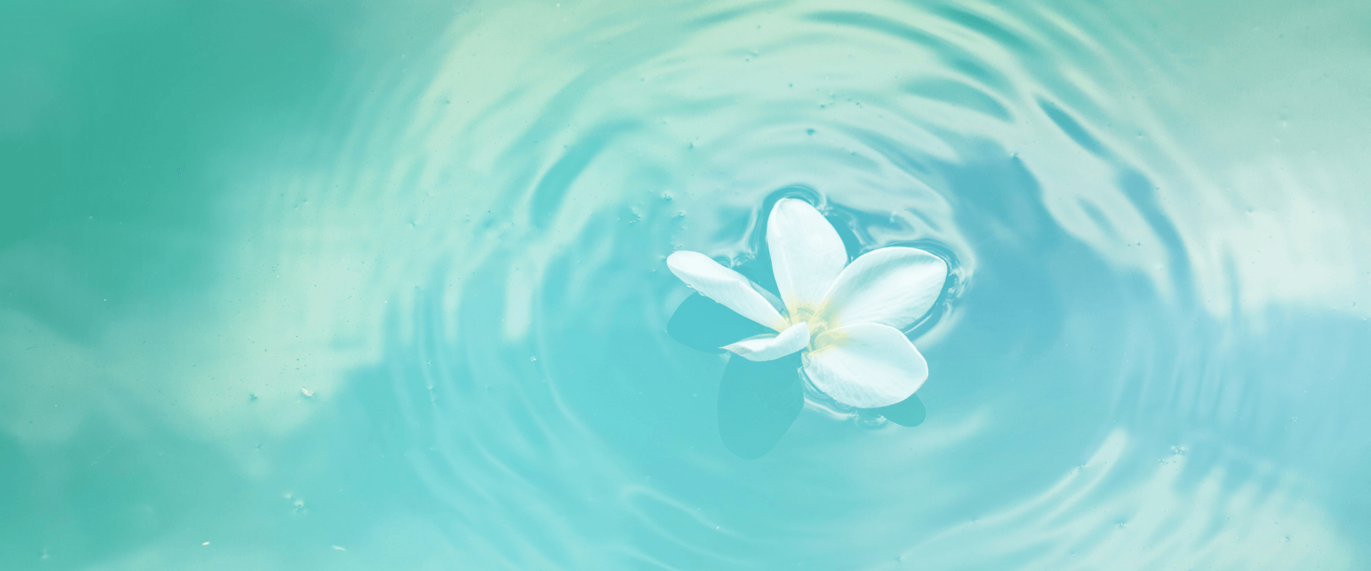 The Quiet Power of Micro-Moments in Wellbeing
